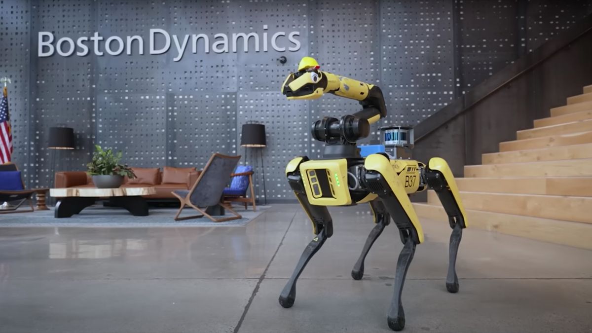 Boston dynamics robot dog 2024 dancing