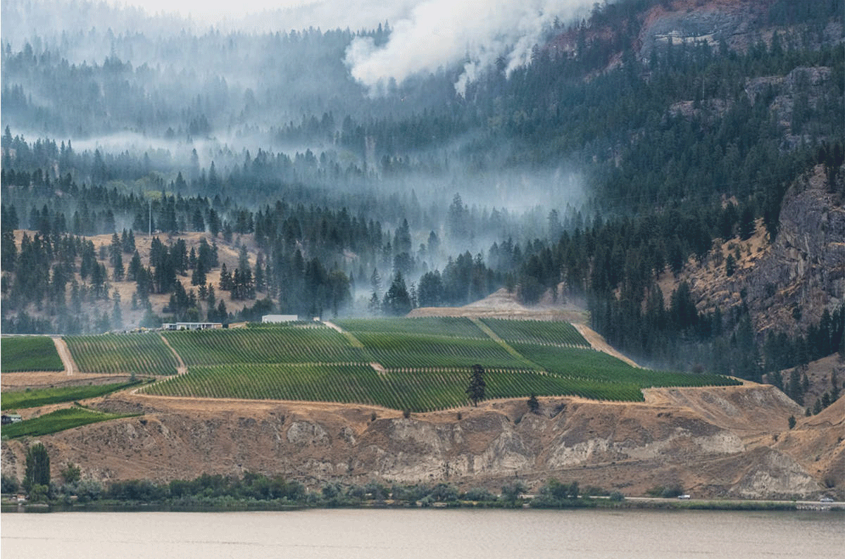Okanagan Valley fires