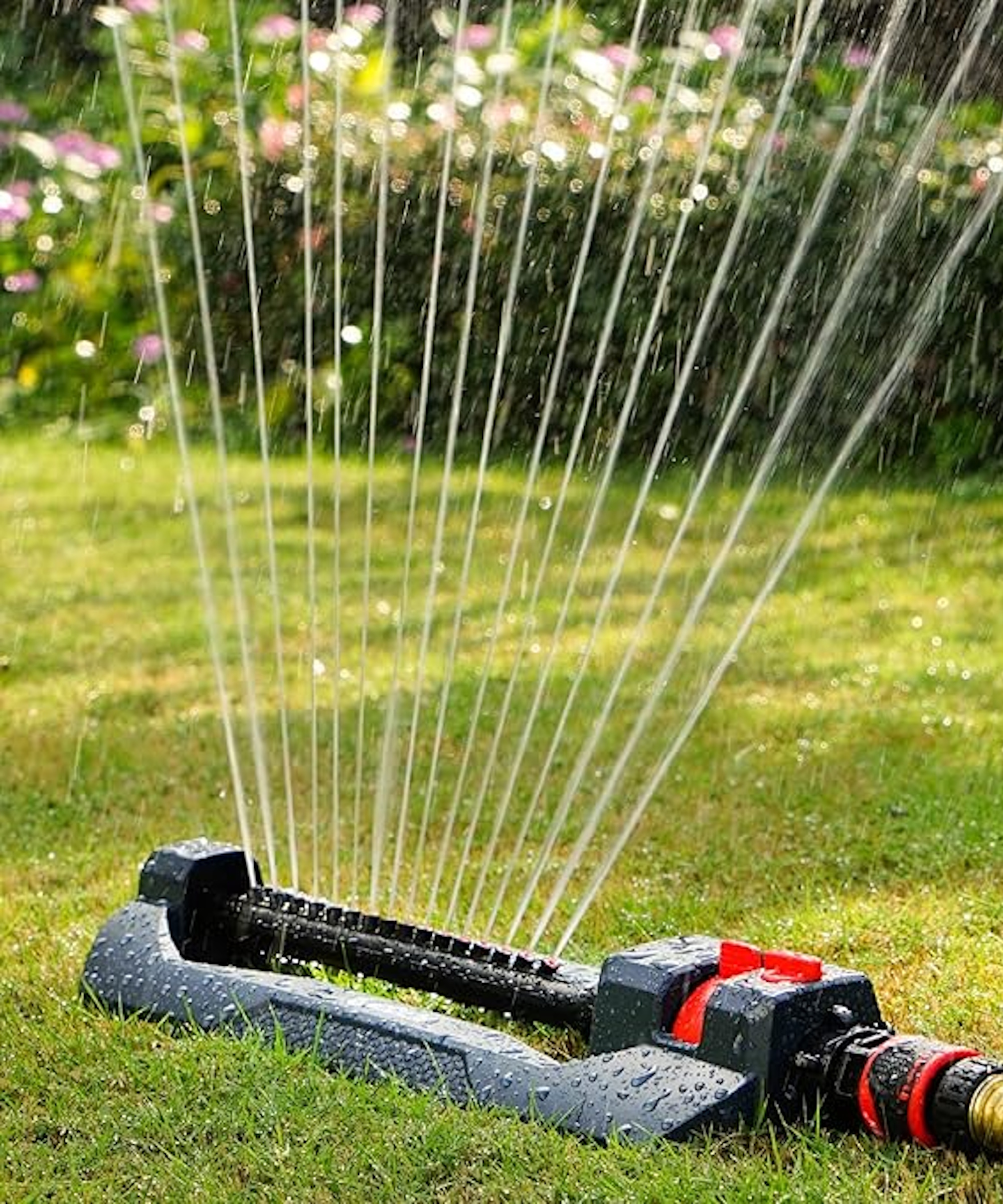 Amazon sprinkler