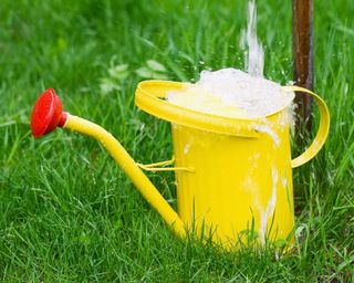 filling a yellow watering can with water