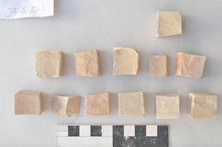 A close-up of some of the tesserae recovered from the trough.
