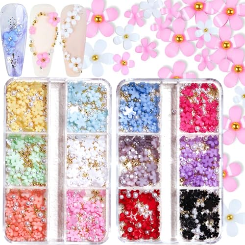 Vasise Flower Nail Charms - 2 Boxes 3D Nail Art, Nails Charms and Gems, Colored Nails Art Pendant, Fingernail Rhinestones and Charms, DIY Fingernails Flower Decoration