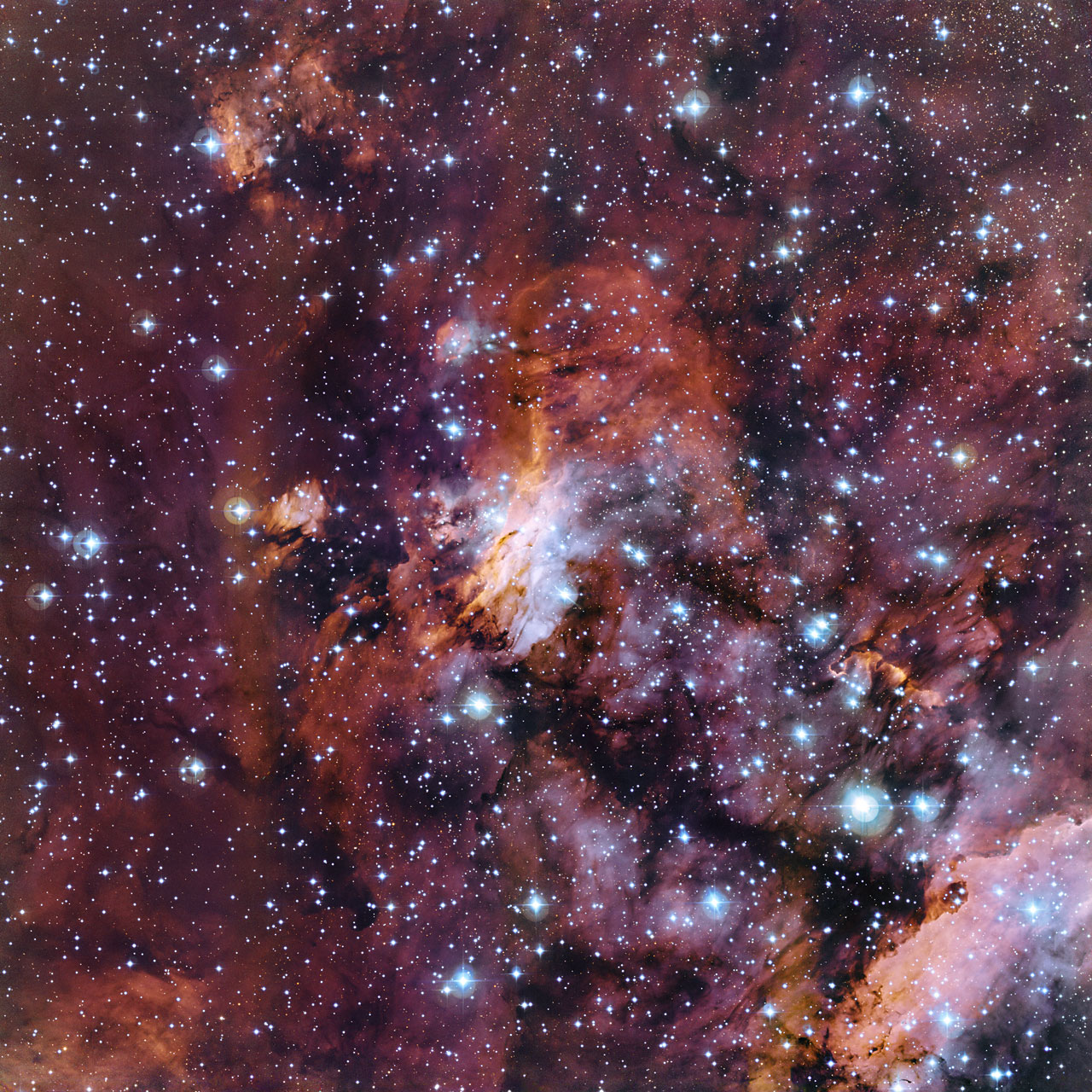 Prawn Nebula from La Silla