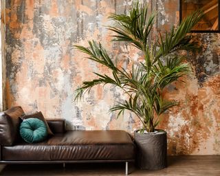 green potted palm tree plant in pot with tiles in front of a brown leather couch