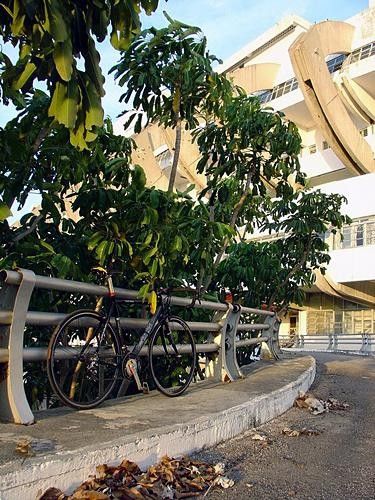 Abandoned bike.