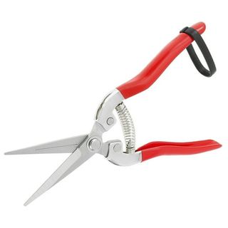 Jtween Straight Pruning Shears With Stainless Steel Blades Micro-Tip Florist Scissors Multifunctional Garden Snips Handheld Pruner Cutter for Arranging Flowers Trimming Plants Harvesting Fruits Veget