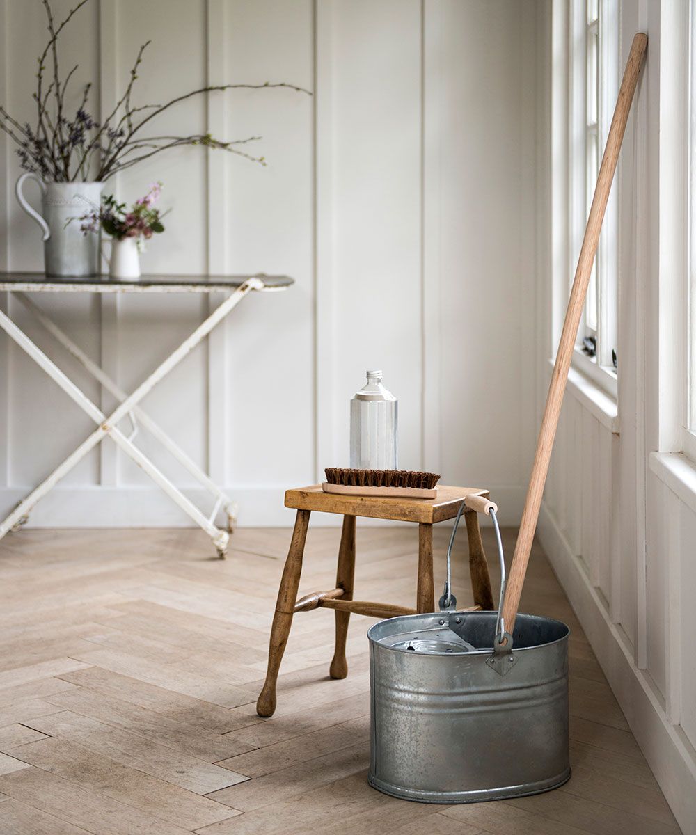 Mop and bucket in living room with wood floor