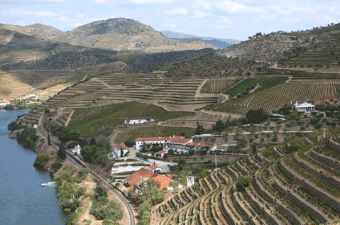 Quinta de Vargellas, Taylor's