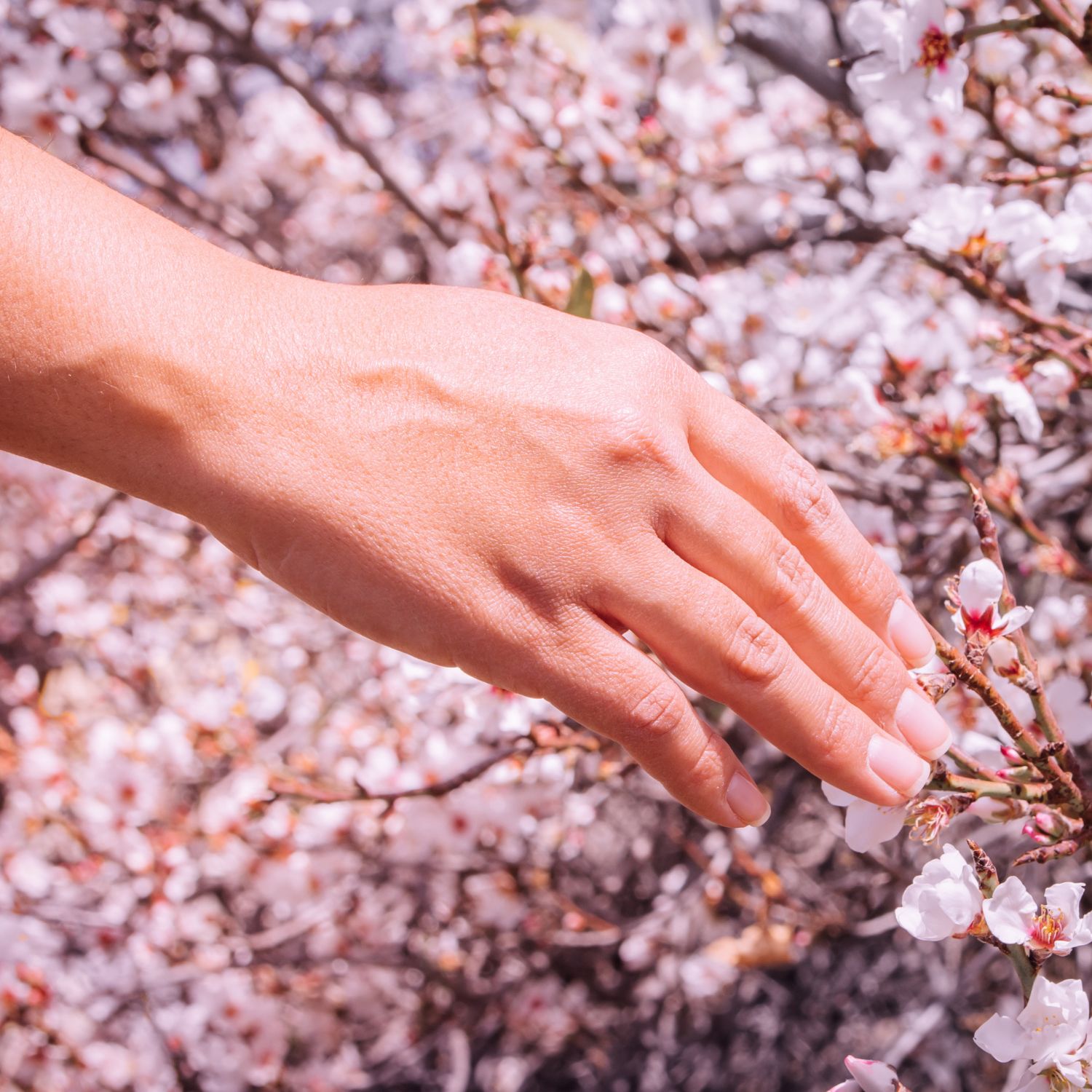  Blossom nails are the pretty summer manicure to know—these 6 looks provide the perfect posy inspiration 