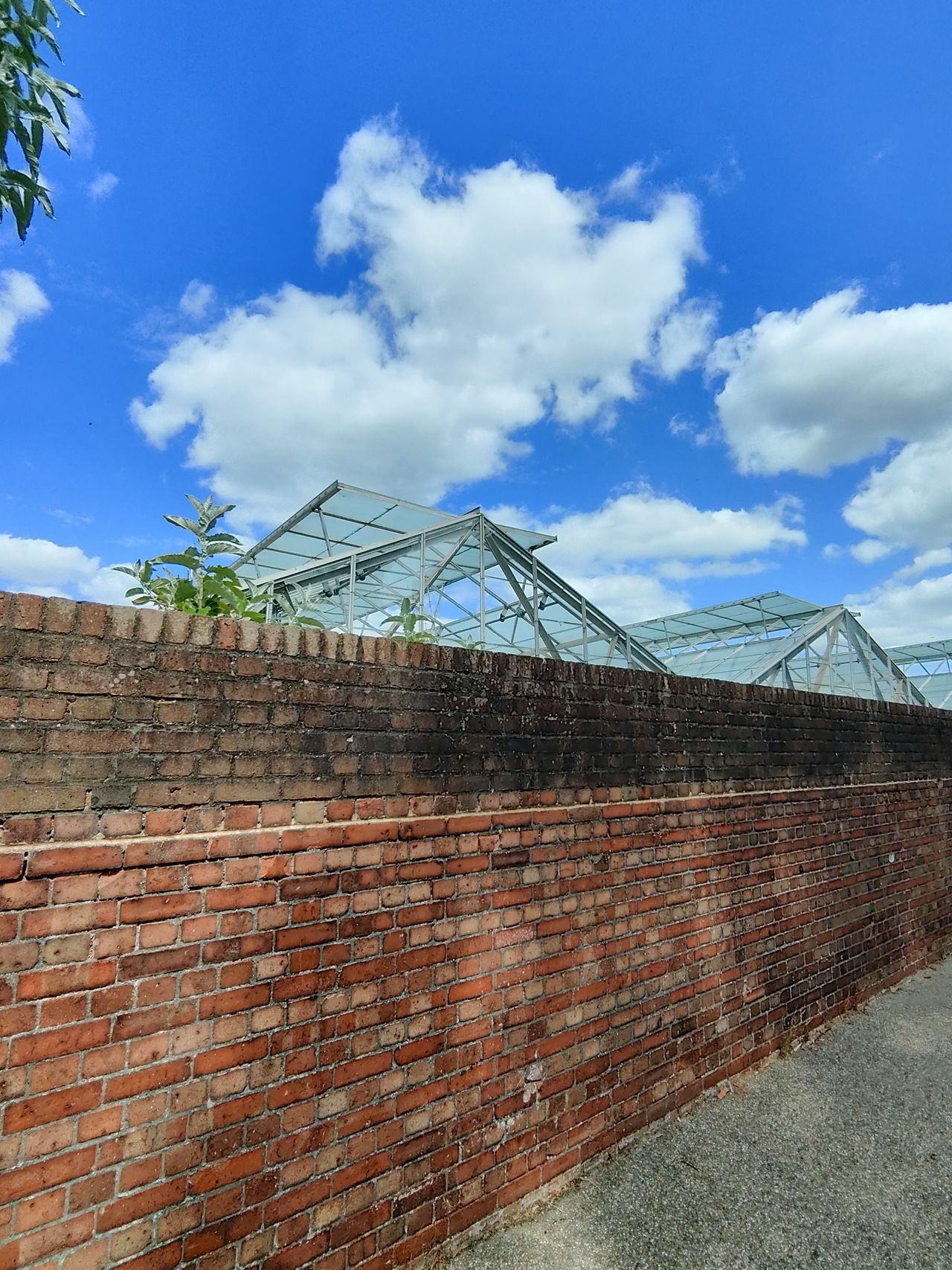 Sample image taken at Kew Gardens using the Rokid AI Glasses Style