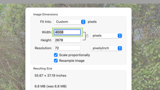 How to resize and crop a photo using Preview on macOS