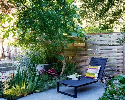 backyard improvements that add value