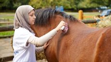 Keep Britain Riding