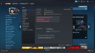 Steam password