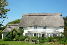 Devon country cottage for sale