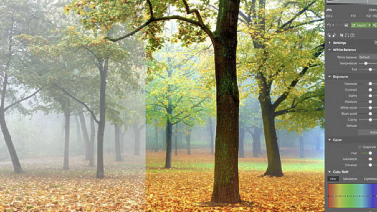 Zoner Photo Studio Review Top Ten Reviews