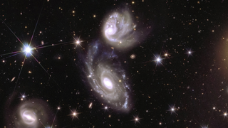 Euclid's observation of the interacting galaxies ESO 364-G035 and G036