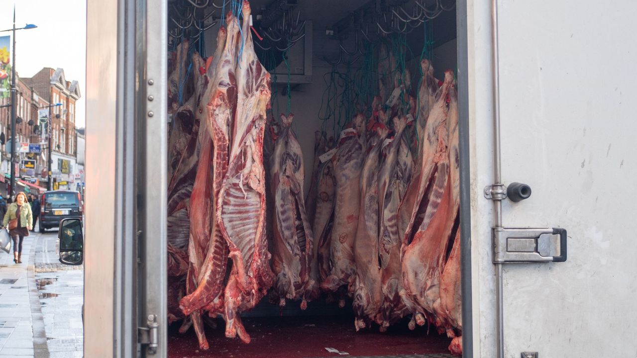 Carcasses of slaughtered pigs going into a Halal butchers in Slough High Street