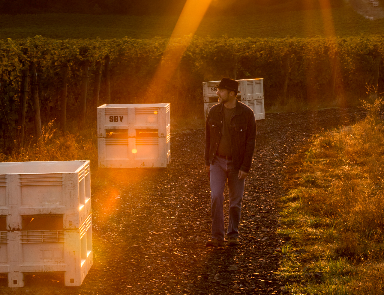 Alex Sokol, Blosser vineyard