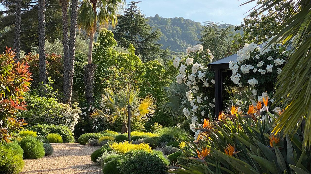 mediterranean planting in xeriscape by Garden Art Group