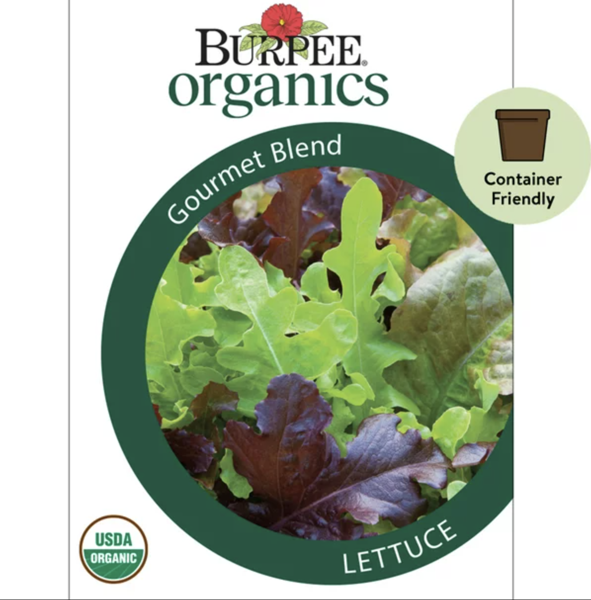 The 10 best vegetables you can plant in July Livingetc