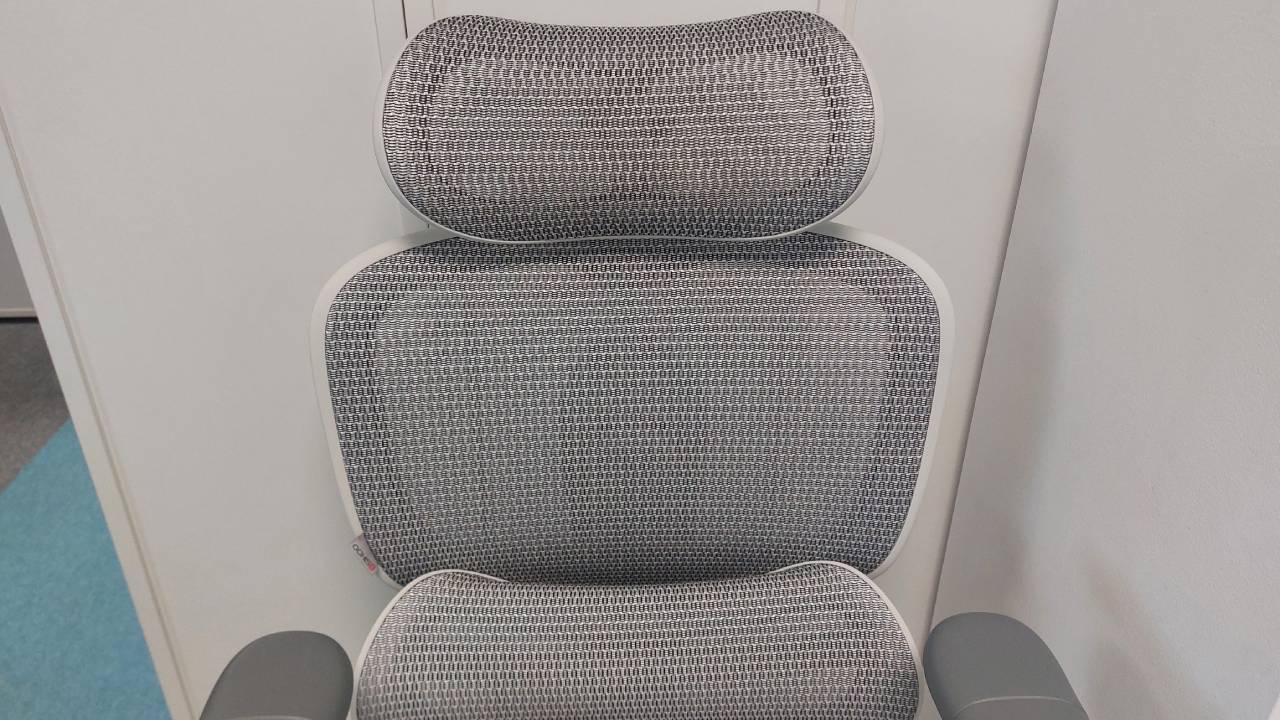 Sihoo C300 Pro V2 office chair