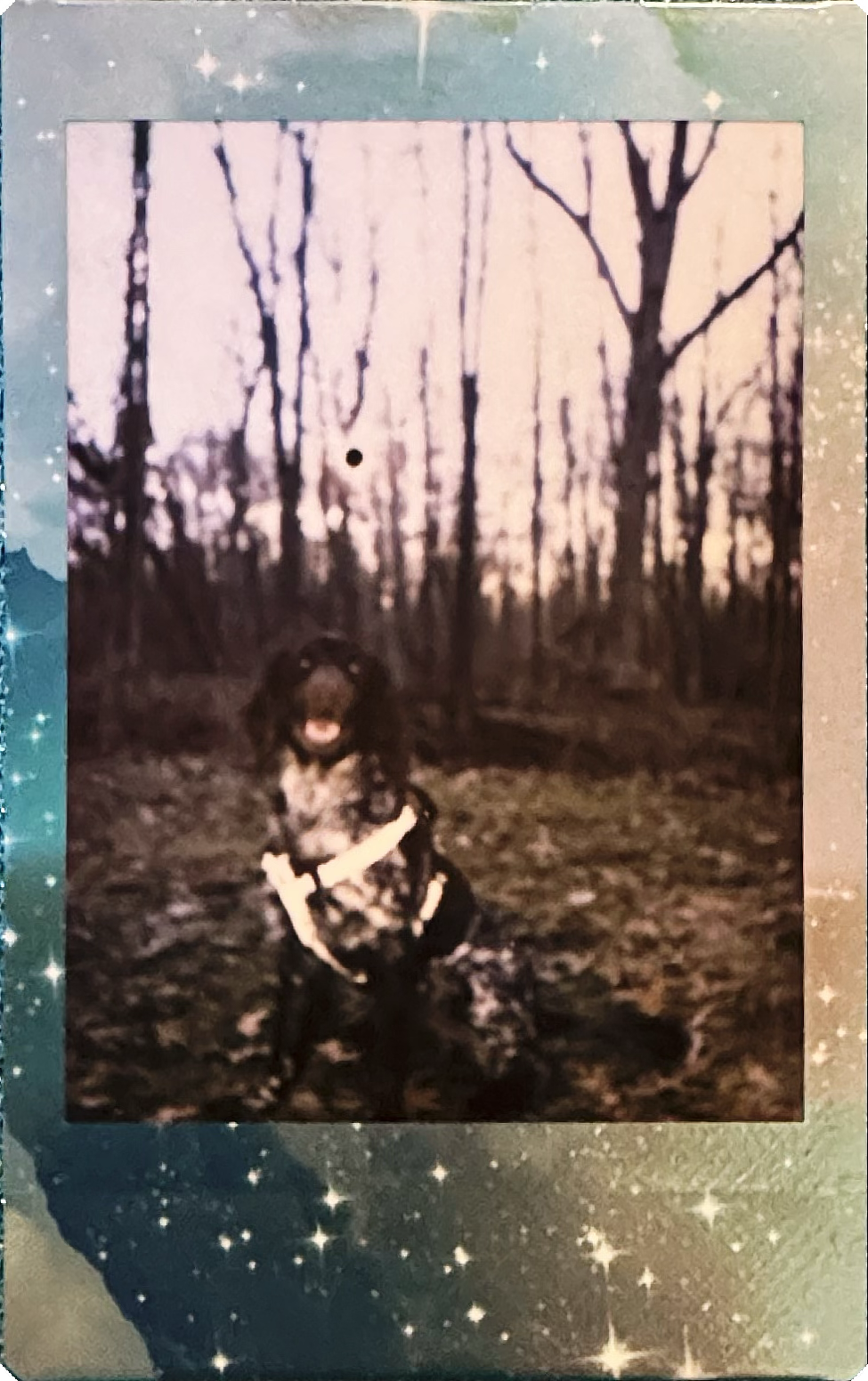 Scanned film images from the Instax Mini 13