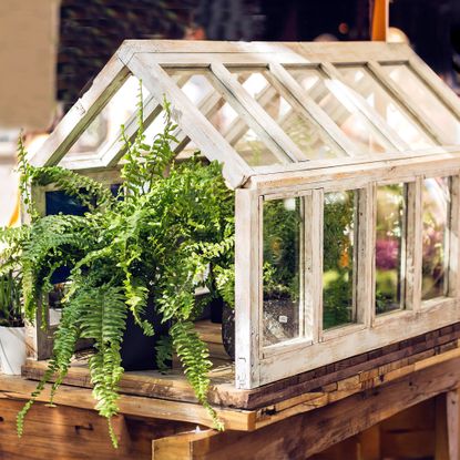 Mini wooden greenhouse with houseplants