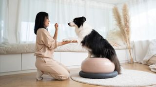 Woman training dog