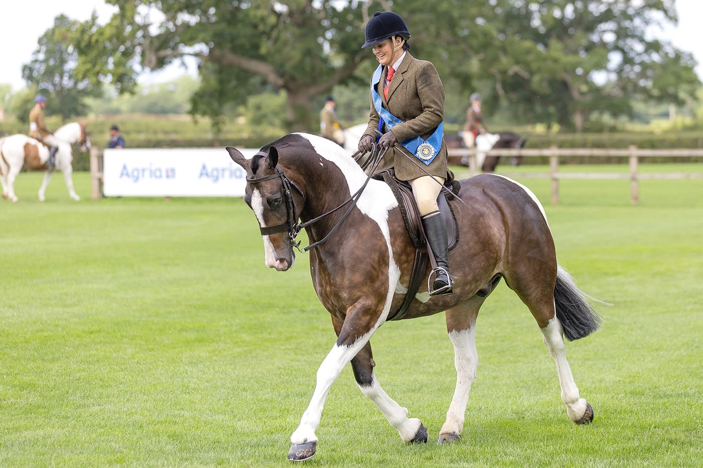 Amy Riley and Stretcholt He&amp;rsquo;s Cob Rhythm in The Alan Marnie &amp;amp; Family Skewbald &amp;amp; Piebald Hogged Cob Ridden Championship at the 2025 Royal International Horse Show,