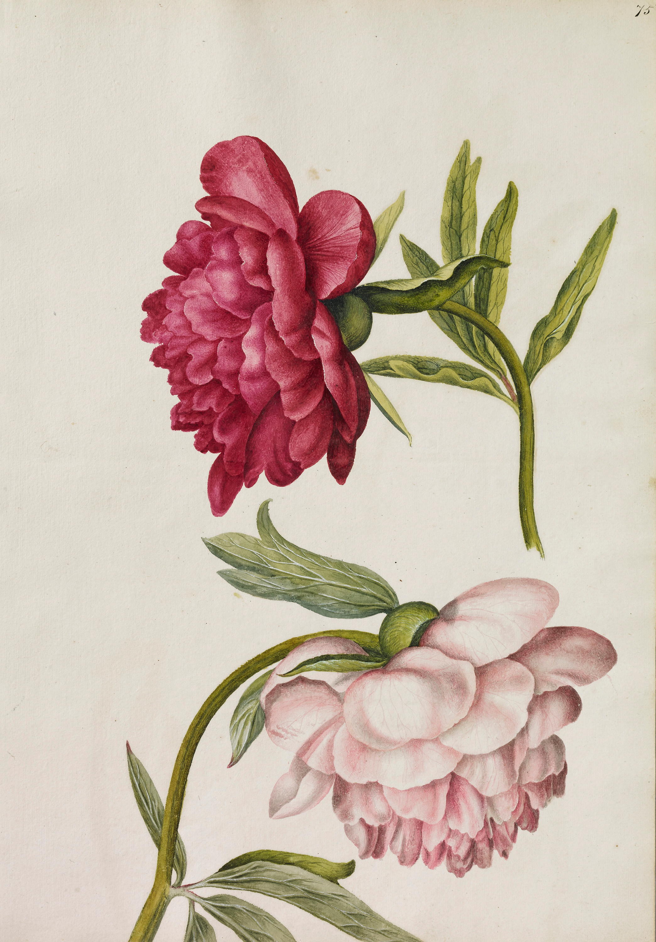 Paintings of Alexander Marshal