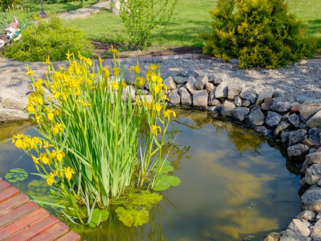 DIY Floating Pond Island With Plants