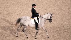 tobias thorning jorgensen paralympic dressage