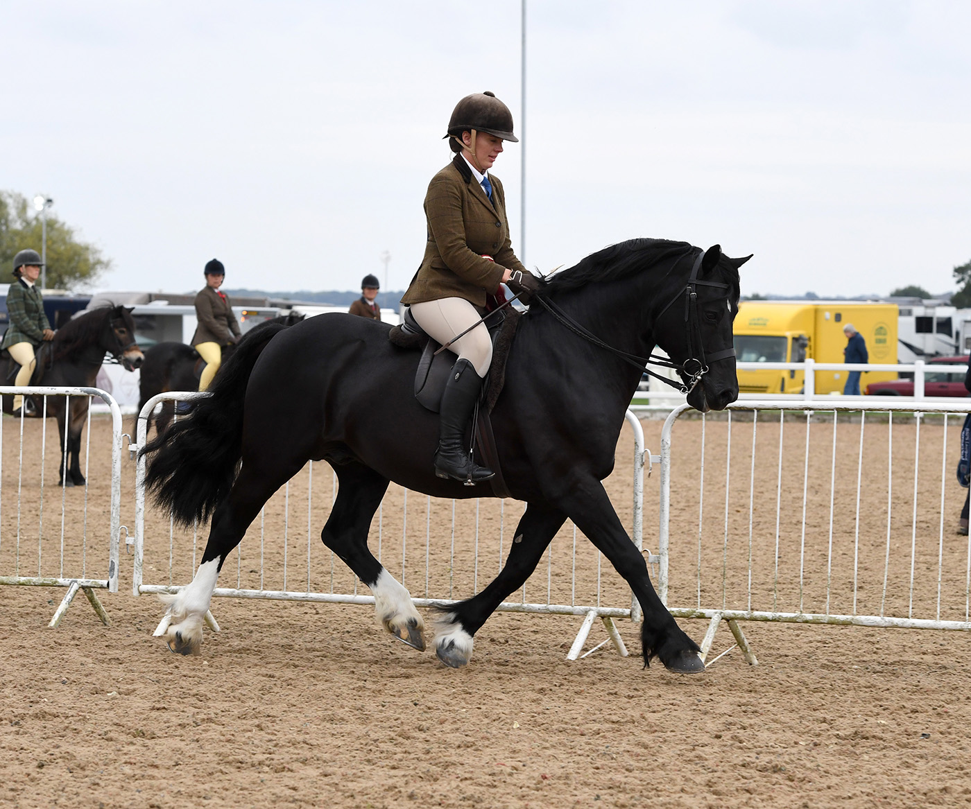 Heritage Show 17.10.21CL 89No. 245 Kaybrook Midnight Comet. Ellena Parker