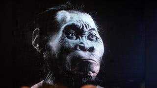 The discovery of a new species of human relative, Homo Naledia was unveiled at The Cradle of Human Kind on September 10, 2015 at Maropeng in Johannesburg, South Africa.