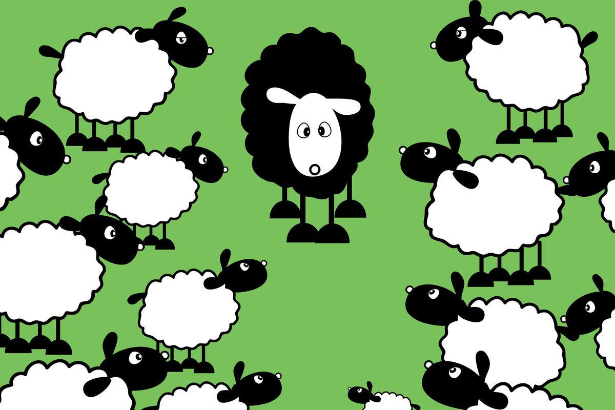 Cartoon sheep