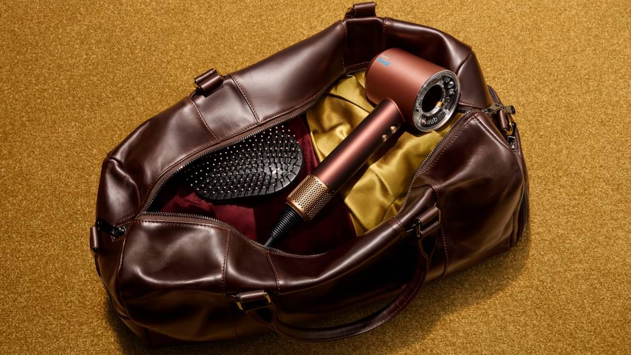 Dyson Plum and Copper