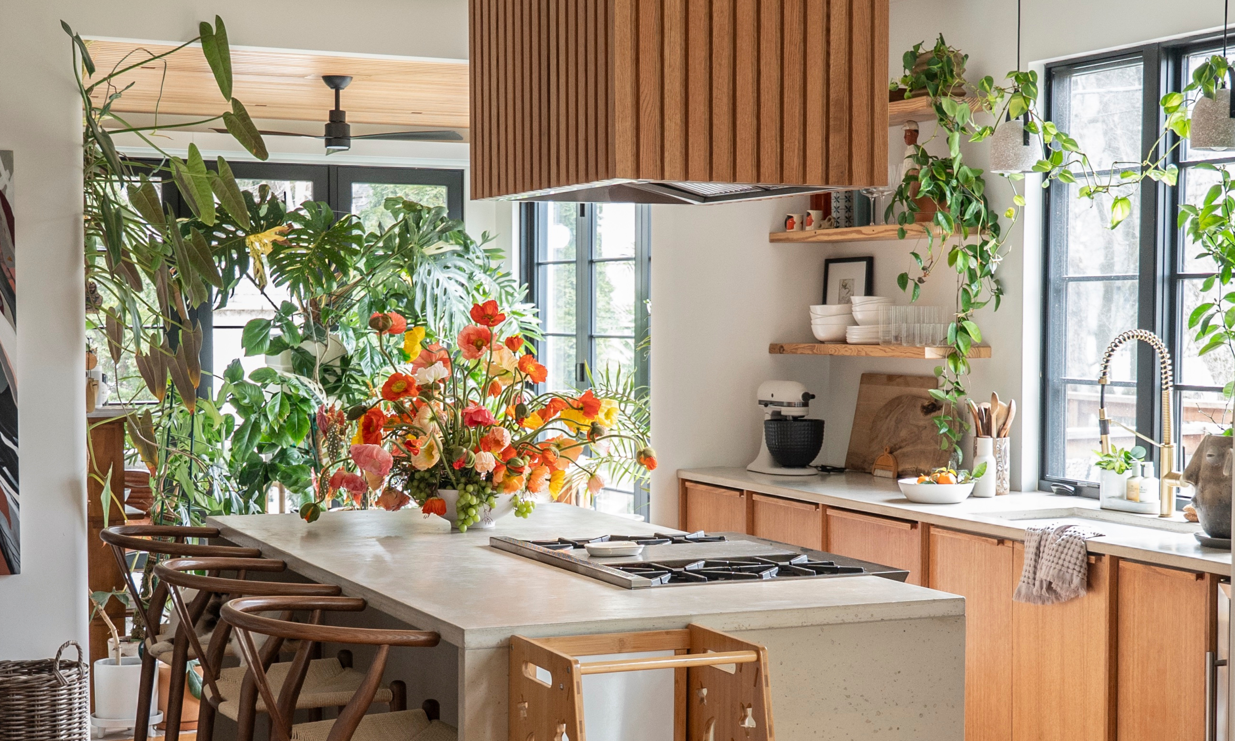 Display of Icelandic poppies on kitchen island, with large plants placed throughout a modern kitchen