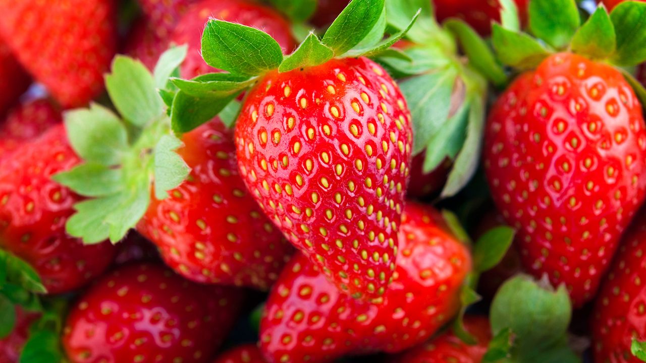 How to Grow Bigger Strawberries: 5 Tips For A Luscious Crop | Gardening ...