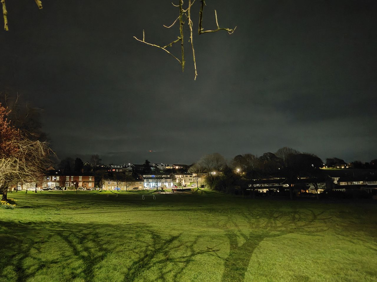 Oppo Find X5 camera sample showing a field in the dark