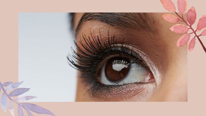 A womans eye with hybrid lash extensions and smoky eye makeup 