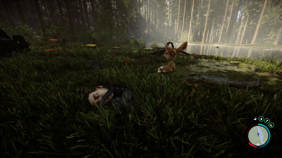 Sons of the Forest
