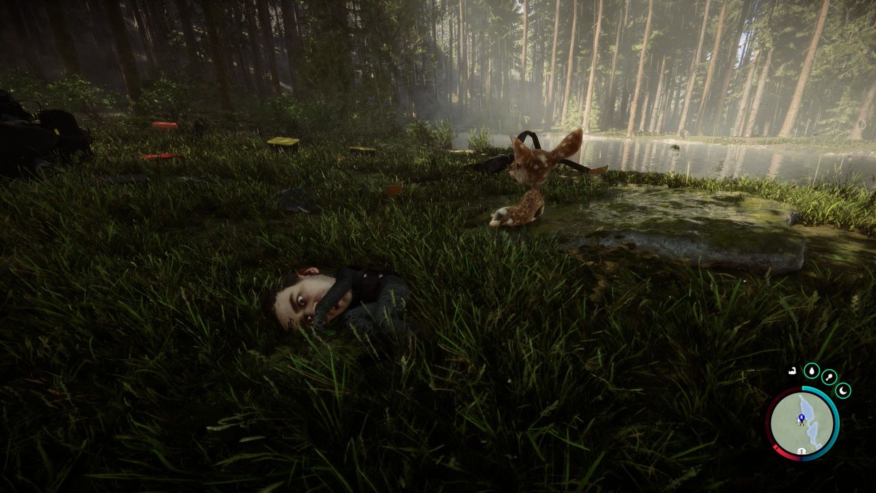 Sons of the Forest