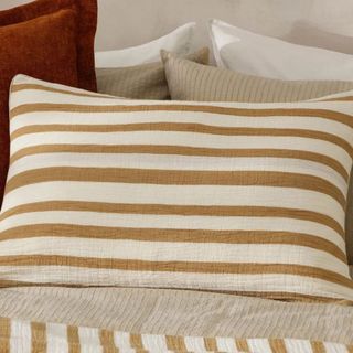 Cinnamon stripe cushion