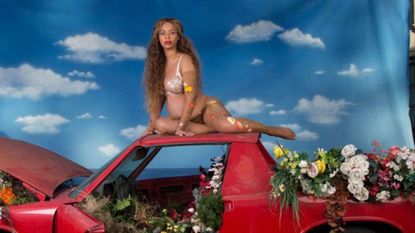 Automotive exterior, Hood, Swimwear, Flowerpot, Bikini, Long hair, Foot, Blond, Trunk, Undergarment, 