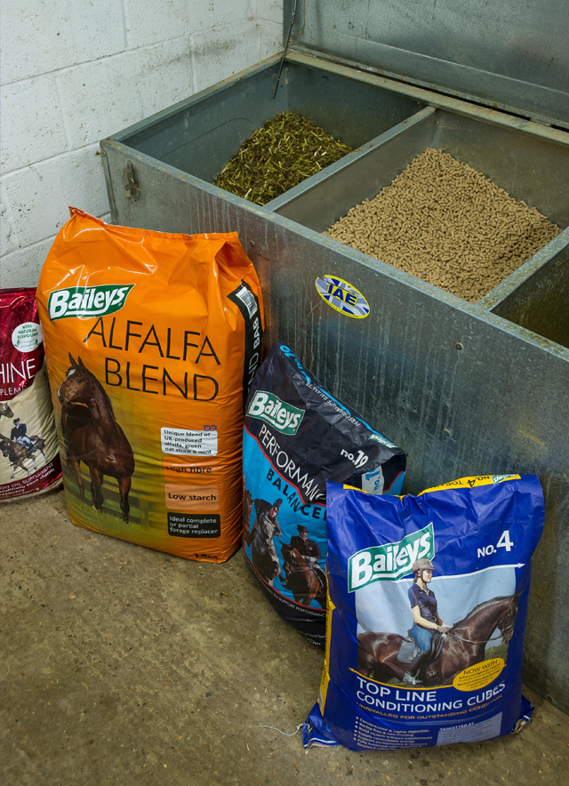 feed-and-bins