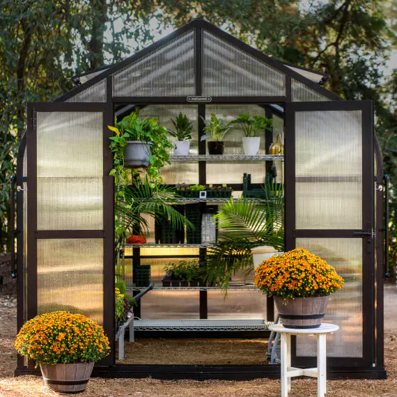 Vego Pacific Greenhouse - 8.5ft Wide