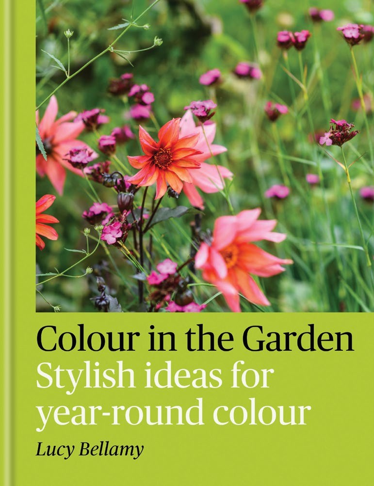 A vibrant garden scene featuring pink and orange flowers, showcasing stylish ideas for year-round color.