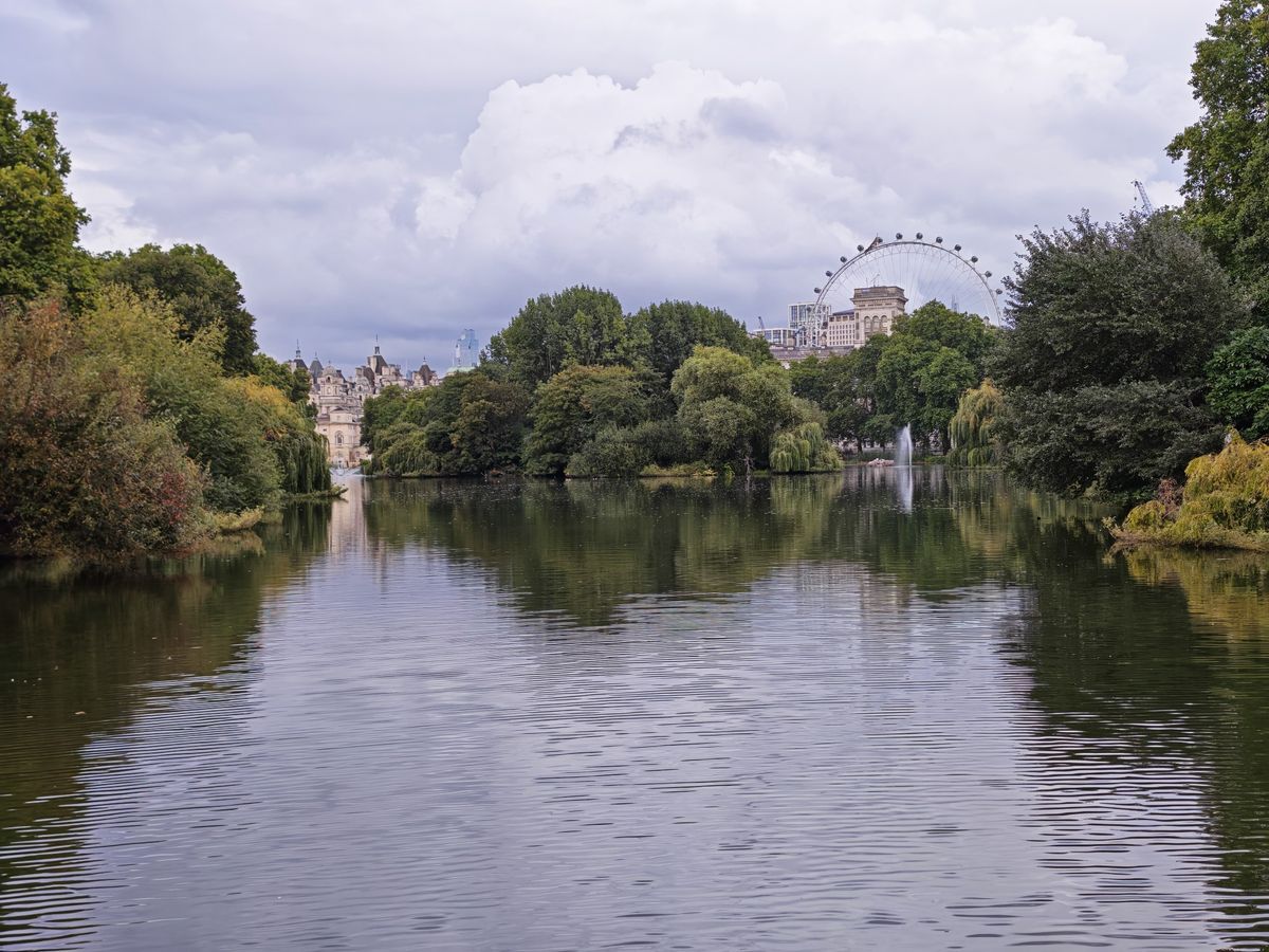 Honor Magic V5 review photos in London