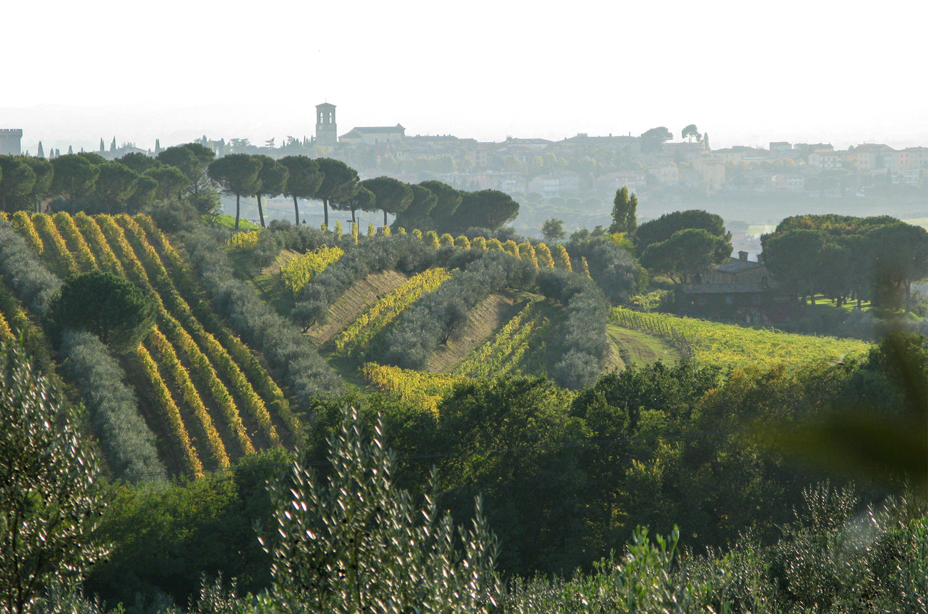 Umbria_Torgiano.jpg